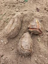 팜모닝 자유주제·자유게시판 게시글 이미지