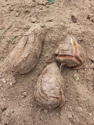 이순희님의 자유주제 · 자유게시판 작성글 사진