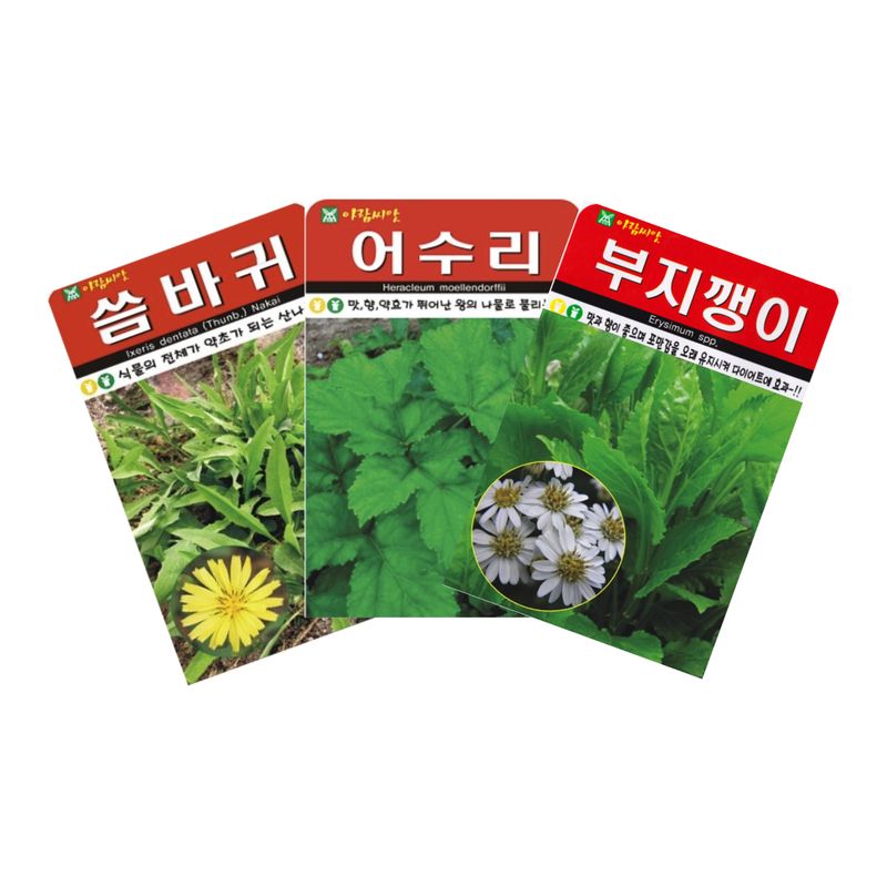 장터 상품 [[아람종묘] 나물씨앗 3종세트 - 씀바귀,어수리,부지깽이] 썸네일