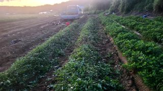 이덕훈(바쁜사람)님의 기타작물 · 영농일지 작성글 사진