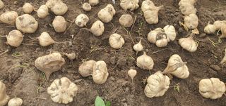 김철현님의 작성글 사진