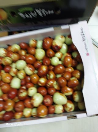 배추15698님의 기타작물 · 영농일지 작성글 사진