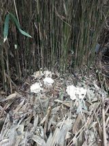 팜모닝 자유주제·자유게시판 게시글 이미지