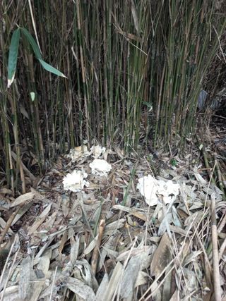 최태순님의 자유주제 · 자유게시판 작성글 사진