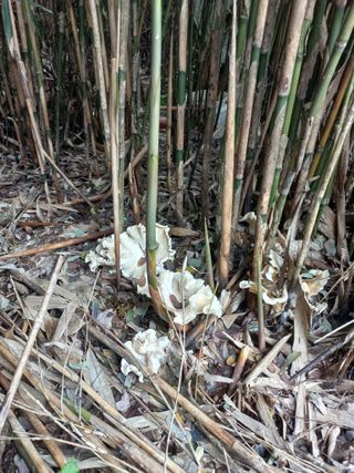 최태순님의 자유주제 · 자유게시판 작성글 사진