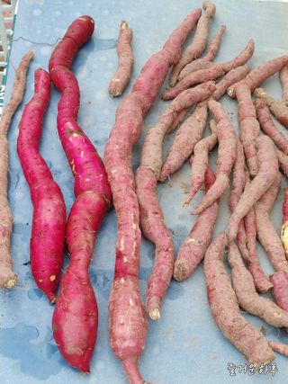 농부님.모두.모두힘님의 자유주제 · 자유게시판 작성글 사진