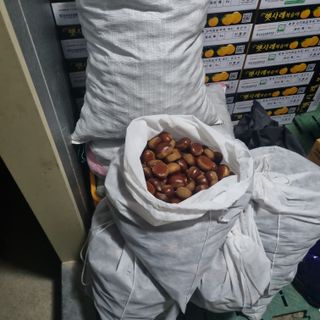 햇사레맨(이용삼)님의 기타작물 · 영농일지 작성글 사진