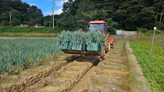 김남근님의 파 · 영농일지 작성글 사진