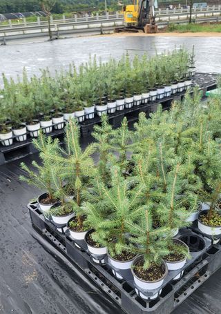 이선미님의 작성글 사진