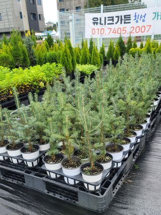 이선미님의 작성글 사진