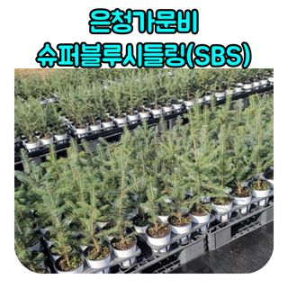 이선미님의 작성글 사진