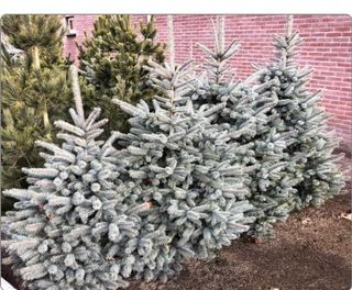 이선미님의 작성글 사진