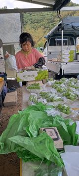 팜모닝 포도·영농일지 게시글 이미지