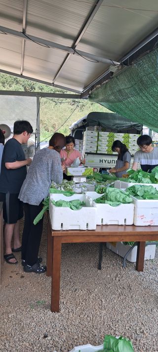 윤세열님의 포도 · 영농일지 작성글 사진