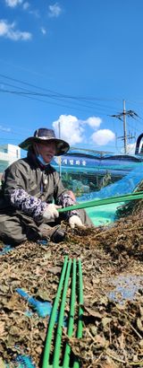 팜모닝 들깨·영농일지 게시글 이미지