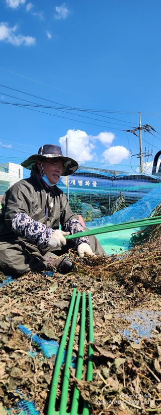 김미애님의 들깨 · 영농일지 작성글 사진