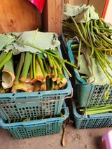 팜모닝 10월 내 농작물 자랑하기·참여글 게시글 이미지