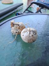 팜모닝 자유주제·자유게시판 게시글 이미지