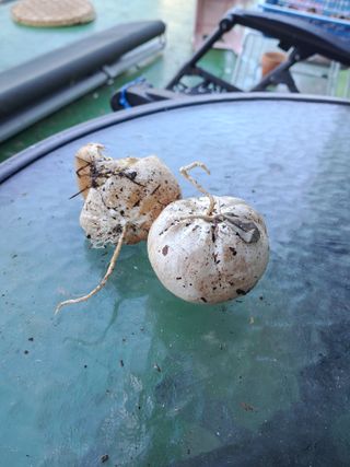 농부의약속님의 자유주제 · 자유게시판 작성글 사진