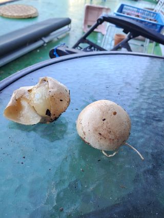 농부의약속님의 자유주제 · 자유게시판 작성글 사진