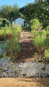 팜모닝 자유주제·자유게시판 게시글 이미지