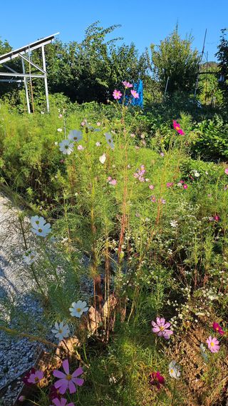 최만재님의 자유주제 · 자유게시판 작성글 사진