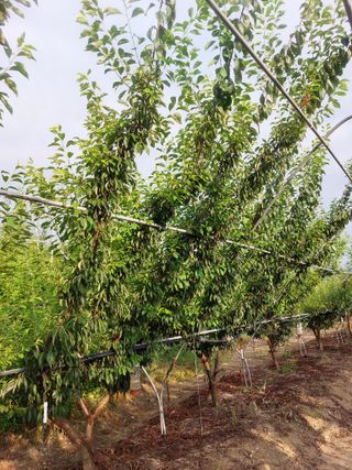 복자님의 작성글 사진