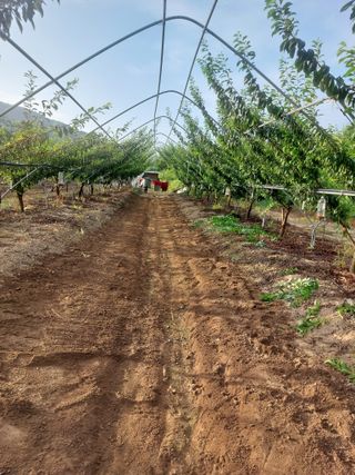 복자님의 작성글 사진