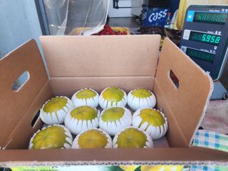 윤성철님의 10월 내 농작물 자랑하기 · 참여글 작성글 사진