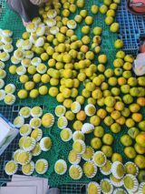 팜모닝 10월 내 농작물 자랑하기·참여글 게시글 이미지