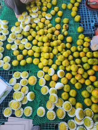 윤성철님의 10월 내 농작물 자랑하기 · 참여글 작성글 사진