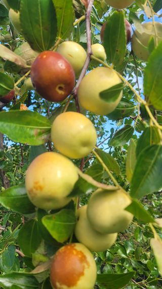 목대균님의 자유주제 · 자유게시판 작성글 사진