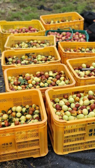 목대균님의 자유주제 · 자유게시판 작성글 사진