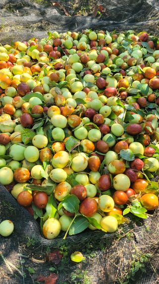 목대균님의 자유주제 · 자유게시판 작성글 사진