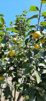 팜모닝 · 게시글 이미지