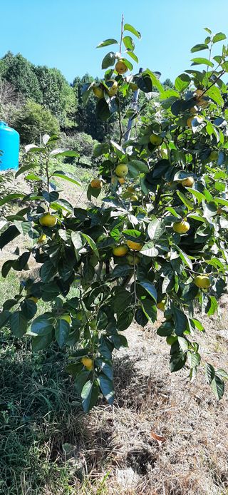 김호규님의 작성글 사진