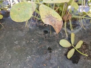 상추14154님의 자유주제 · 자유게시판 작성글 사진