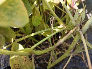 상추14154님의 자유주제 · 자유게시판 작성글 사진