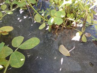 상추14154님의 자유주제 · 자유게시판 작성글 사진