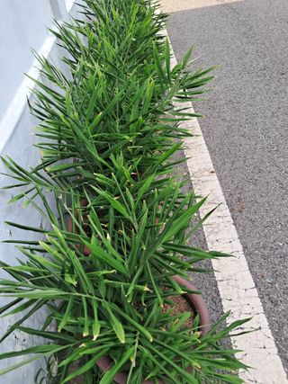 최한기님의 10월 내 농작물 자랑하기 · 참여글 작성글 사진