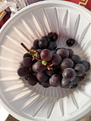 최한기님의 10월 내 농작물 자랑하기 · 참여글 작성글 사진