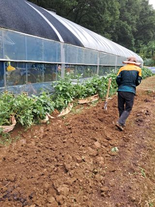 최한기님의 10월 내 농작물 자랑하기 · 참여글 작성글 사진