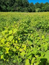 팜모닝 10월 내 농작물 자랑하기·참여글 게시글 이미지