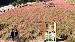 영월산지기148님의 자유주제 · 자유게시판 작성글 사진