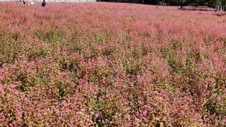 영월산지기148님의 자유주제 · 자유게시판 작성글 사진
