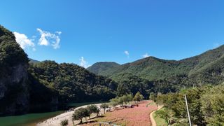 영월산지기148님의 자유주제 · 자유게시판 작성글 사진