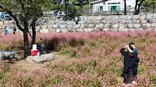 영월산지기148님의 자유주제 · 자유게시판 작성글 사진