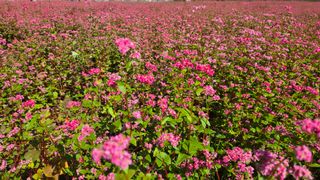 영월산지기148님의 자유주제 · 자유게시판 작성글 사진