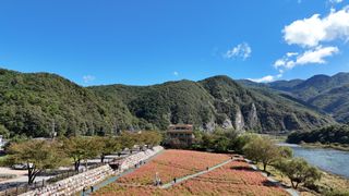 영월산지기148님의 자유주제 · 자유게시판 작성글 사진