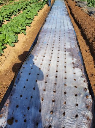 정택님의 자유주제 · 자유게시판 작성글 사진